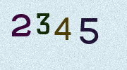 Visual Confirmation Security Code