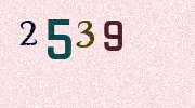 Visual Confirmation Security Code