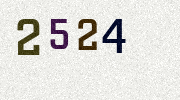 Visual Confirmation Security Code