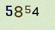 Visual Confirmation Security Code