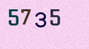 Visual Confirmation Security Code