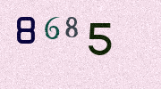 Visual Confirmation Security Code