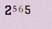 Visual Confirmation Security Code