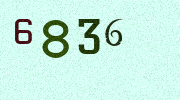 Visual Confirmation Security Code