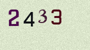 Visual Confirmation Security Code