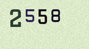 Visual Confirmation Security Code