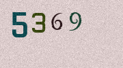 Visual Confirmation Security Code
