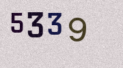 Visual Confirmation Security Code