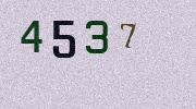 Visual Confirmation Security Code
