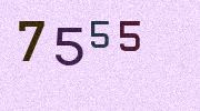 Visual Confirmation Security Code