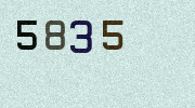 Visual Confirmation Security Code