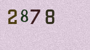 Visual Confirmation Security Code