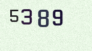 Visual Confirmation Security Code