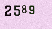 Visual Confirmation Security Code
