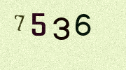Visual Confirmation Security Code