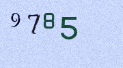 Visual Confirmation Security Code