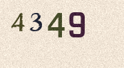 Visual Confirmation Security Code