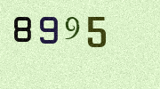Visual Confirmation Security Code