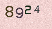 Visual Confirmation Security Code