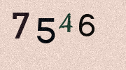 Visual Confirmation Security Code