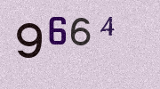 Visual Confirmation Security Code