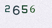 Visual Confirmation Security Code