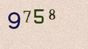 Visual Confirmation Security Code