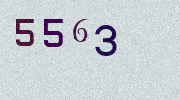 Visual Confirmation Security Code
