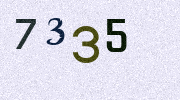 Visual Confirmation Security Code