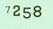 Visual Confirmation Security Code
