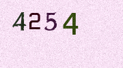 Visual Confirmation Security Code