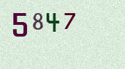 Visual Confirmation Security Code