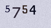 Visual Confirmation Security Code