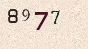 Visual Confirmation Security Code