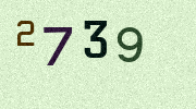 Visual Confirmation Security Code
