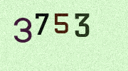 Visual Confirmation Security Code