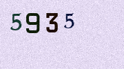 Visual Confirmation Security Code