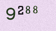 Visual Confirmation Security Code