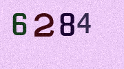 Visual Confirmation Security Code