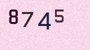 Visual Confirmation Security Code
