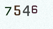 Visual Confirmation Security Code