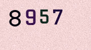 Visual Confirmation Security Code