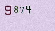 Visual Confirmation Security Code