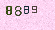 Visual Confirmation Security Code