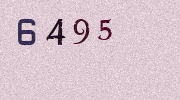 Visual Confirmation Security Code