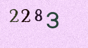 Visual Confirmation Security Code