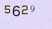 Visual Confirmation Security Code
