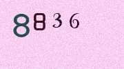 Visual Confirmation Security Code