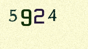Visual Confirmation Security Code