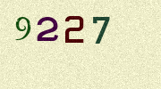 Visual Confirmation Security Code